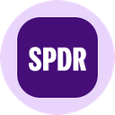 SPYon logo